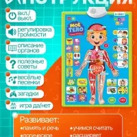 Обучающий плакат &laquo;Изучаем анатомию: Моё тело&raquo;