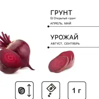 Семена Свёкла столовая &laquo;Пиковая дама&raquo;, F1, 1 г, Premium seeds