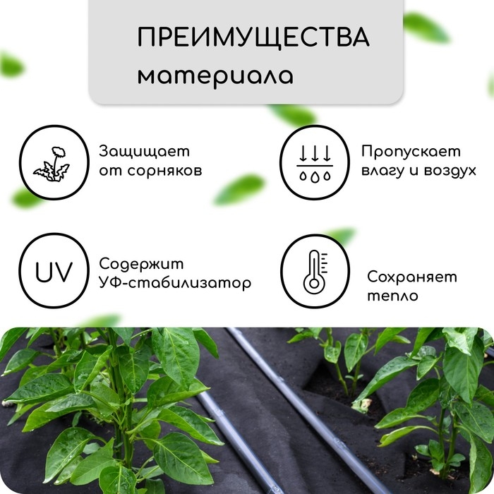 Материал мульчирующий, с перфорацией (4 ряда), 20 × 1,6 м, плотность 80 г/м², спанбонд с УФ-стабилизатором, чёрный, Greengo, Эконом 30% Материал мульчирующий, с перфорацией (4 ряда), 20 × 1,6 м, плотность 80 г/м², спанбонд с УФ-стабилизатором, чёрный, Greengo, Эконом 30%