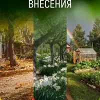 Удобрение минеральное для рассады и саженцев, Dr.Grunt, 700 г