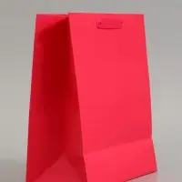Пакет подарочный ламинированный, упаковка, &laquo;Фуксия&raquo;, ML 23&times;27&times;11.5 см
