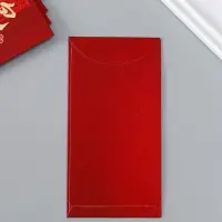 Конверт денежный бумага "Пожелание удачи, богатства" набор 6 шт тиснение блеск 9х17 см