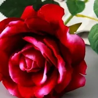 Цветы искусственные &laquo;Роза Аманда&raquo;, бархат, d=11 см, h=58 см, сиреневый