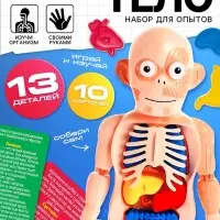 Набор для опытов &laquo;Мое удивительное тело&raquo;