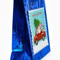 Набор подарочных пакетов «Новый год», 2 шт,  25,4 × 30,5 × 12,7 см