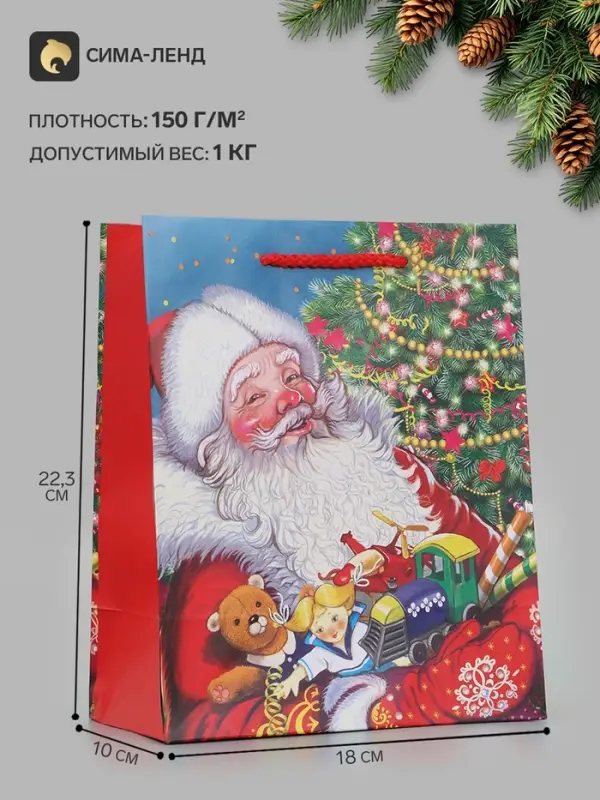Пакет подарочный &laquo;Дед Мороз&raquo;, 18&times;10&times;22.3 см