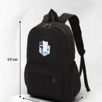 Рюкзак школьный на молнии, с карманами, с принтом, размер 30&times;12&times;43 см, чёрный