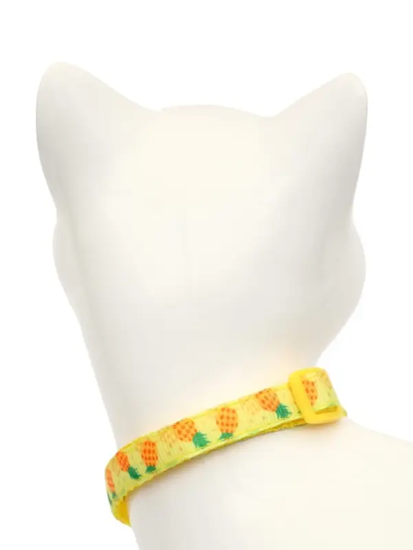 Набор ошейников для кошек &laquo;Пижон. Фрукты&raquo;, 19-32&times;1 см, 4 шт.