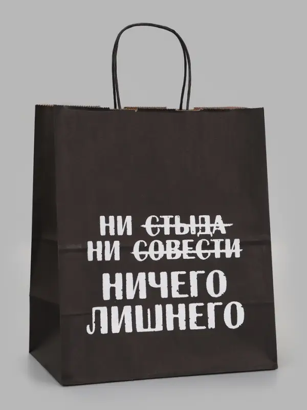Пакет подарочный &laquo;Ни стыда ни совести Ничего лишнего&raquo;, 24&times;14&times;28 см, крафт