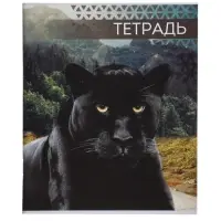 Тетради 48 листов в клетку, Calligrata &laquo;Дикие кошки&raquo;, 4 штуки