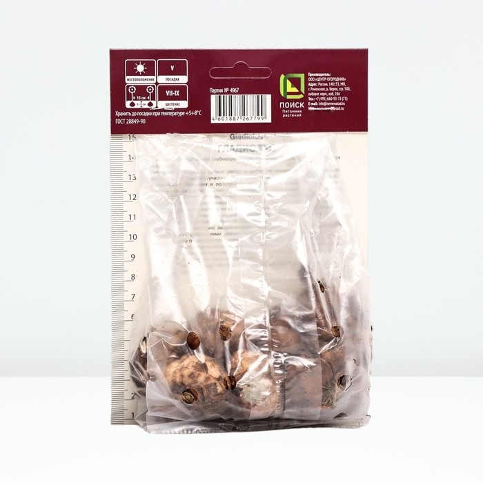 Гладиолус крупноцветковый «Лэннон», луковица цветов в пакете с перфорацией, р-р 10/12, 10 шт.