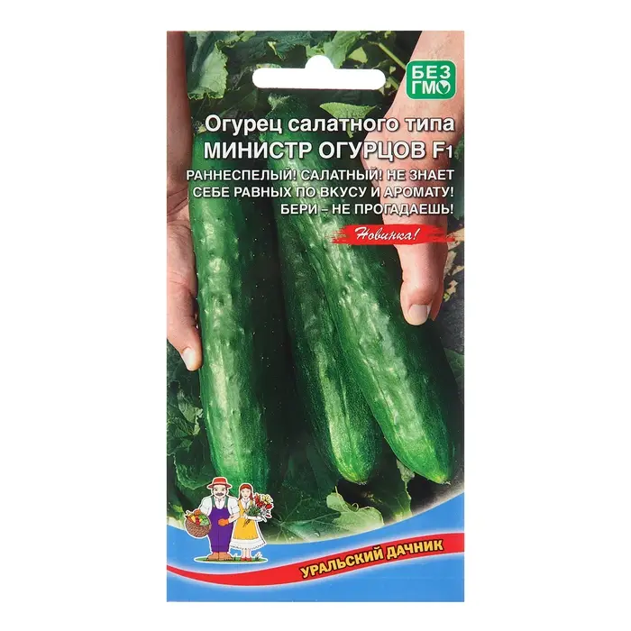 Семена Огурец  Семена Огурец "Министр огурцов - салатного типа", 10 шт
