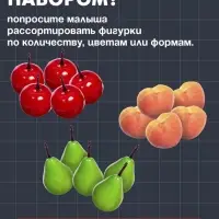 Набор для сортировки &laquo;Считай и сортируй. Фрукты&raquo;