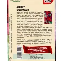 Семена цветов Адениум Kaleidoscope, 3 шт. &laquo;Григорьев&raquo;