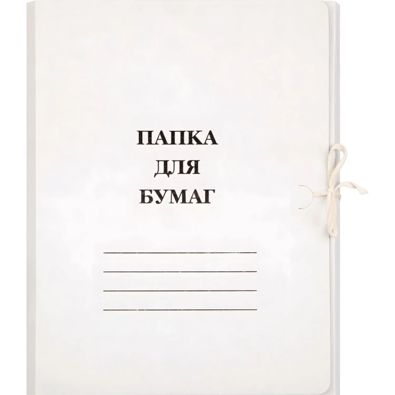 Папка с завязками Дело Элементари 320 г/м2 немелованная