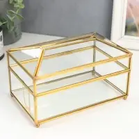 Шкатулка-салфетница «Золотые грани», стекло, 11.8×10.3×19.2 см Шкатулка-салфетница «Золотые грани», стекло, 11.8×10.3×19.2 см