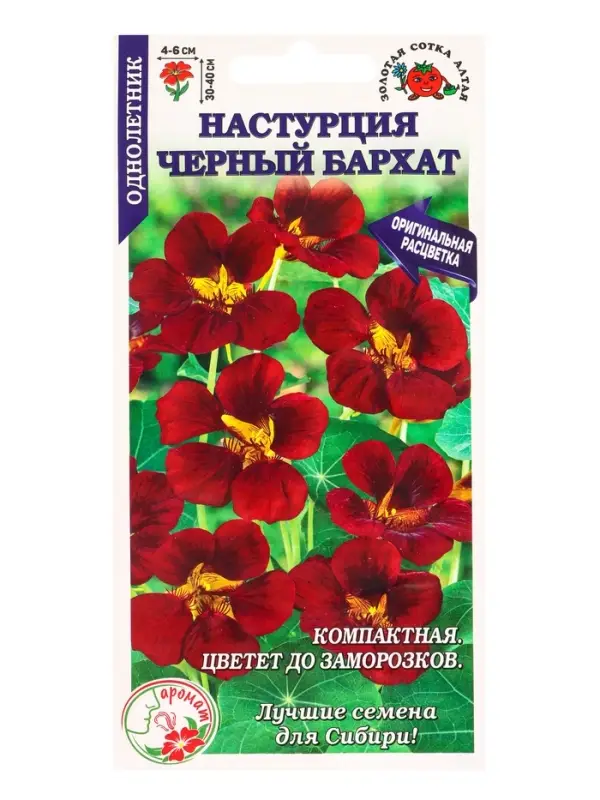Семена Настурция Черный бархат /Сотка/ 0,5 г/*500 Семена Настурция Черный бархат /Сотка/ 0,5 г/*500
