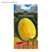 Семена Арбуз "Золотой малыш", 5 шт Семена Арбуз "Золотой малыш", 5 шт