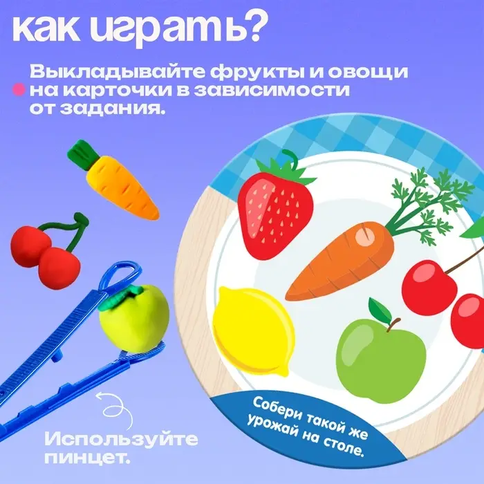 Набор для сортировки &laquo;Вкусная тарелка&raquo;, по методике Монтессори, 20 заданий, 3+