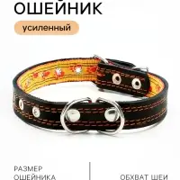 Ошейник кожаный усиленный капроном с полукольцом, 55&times;2.5 см, ОШ 27-53 см, чёрный