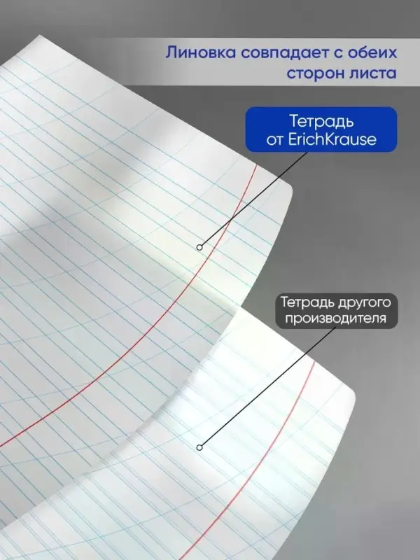 Тетрадь 12 листов в косую линейку ErichKrause &laquo;Классика&raquo;, обложка мелованный картон, МИКС