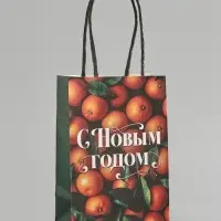 Пакет подарочный крафтовый &laquo;С Новым годом&raquo;, мандарины, 10&times;15&times;6 см