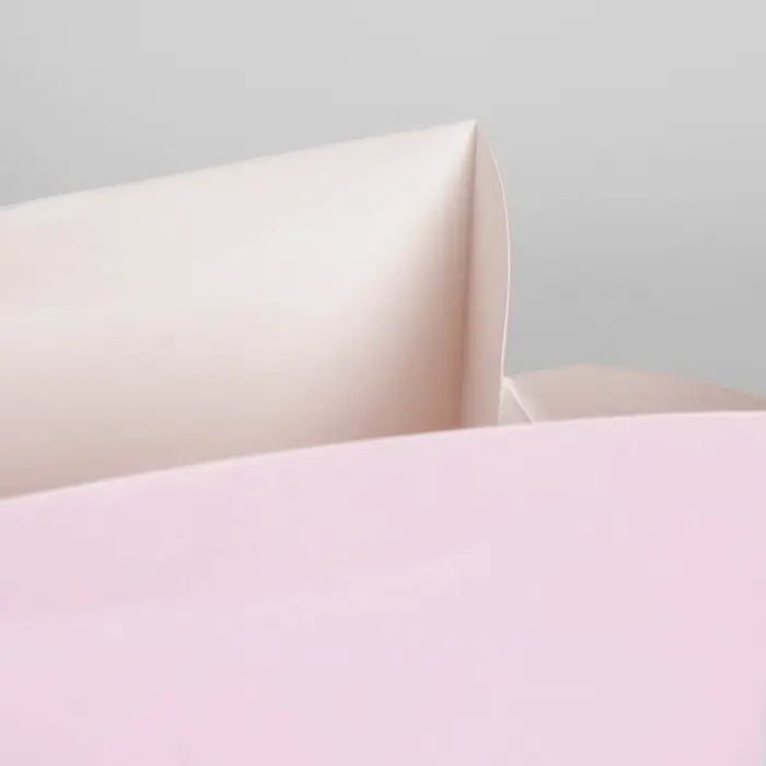 Пакет—коробка «Розовый», 28 х 20 х 13 см Пакет—коробка «Розовый», 28 х 20 х 13 см