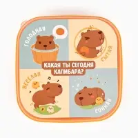 Ланч - бокс квадратный с секциями &laquo;Капибара&raquo;, 14.5&times;6 см