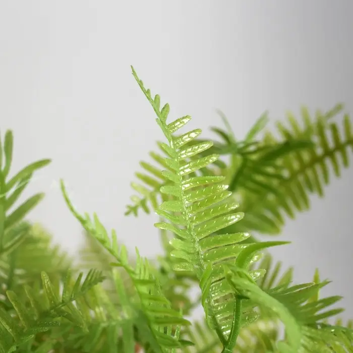 Искусственный цветок в горшке &laquo;Папоротниковидный уил&raquo;, 8&times;22 см, МИКС