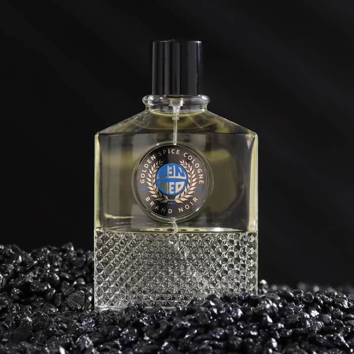 Туалетная вода мужская Brand Noir, 100 мл Туалетная вода мужская Brand Noir, 100 мл