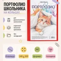 Папка-портфолио А4, Calligrata, на 4 кольцах, без вкладышей, МИКС