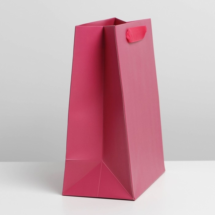 Пакет подарочный ламинированный, упаковка, «Фуксия», MS 18 х 23 х 10 см Пакет подарочный ламинированный, упаковка, «Фуксия», MS 18 х 23 х 10 см