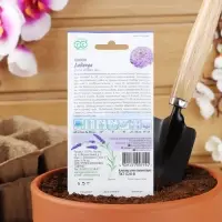 Семена цветов Цинния Лаванда "Лавандовые грёзы", ц/п, 0,5 г Семена цветов Цинния Лаванда "Лавандовые грёзы", ц/п, 0,5 г