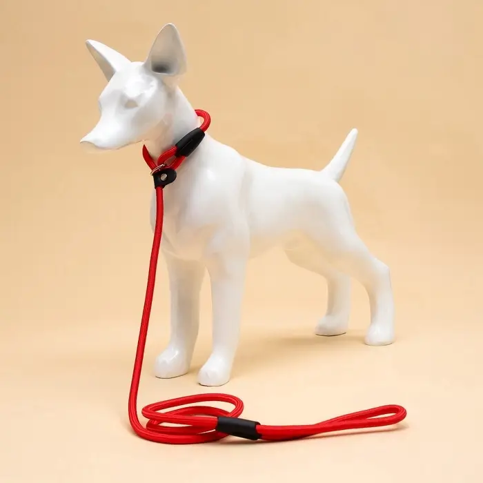 Ринговка для собак, 130&times;0.8 см, красная