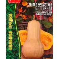 Семена Тыквы мускатной &laquo;Баттернат&raquo;, 5 шт. &laquo;Григорьев&raquo;