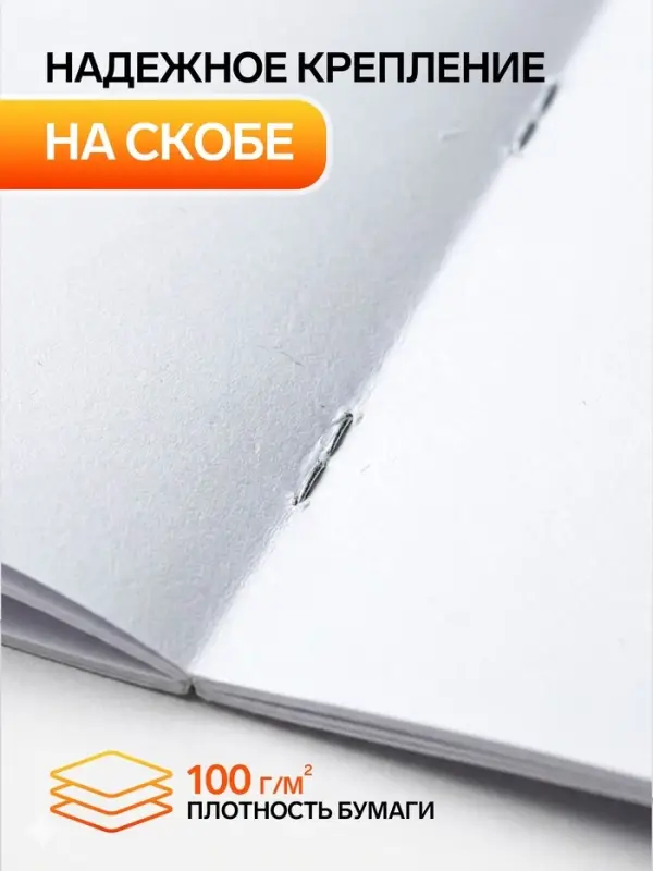 Альбом для рисования Calligrata А4, 24 листа, на скрепке, плотность листов 100 г/м&sup2;, обложка из мелованной бумаги, МИКС