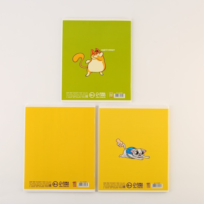 Набор тетрадей А5, 48 л "Персонажи" биология, физика, химия