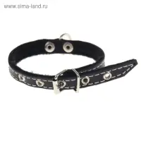 Ошейник тисненый на фетре, 30&times;1.2 см, кожа, цвет МИКС