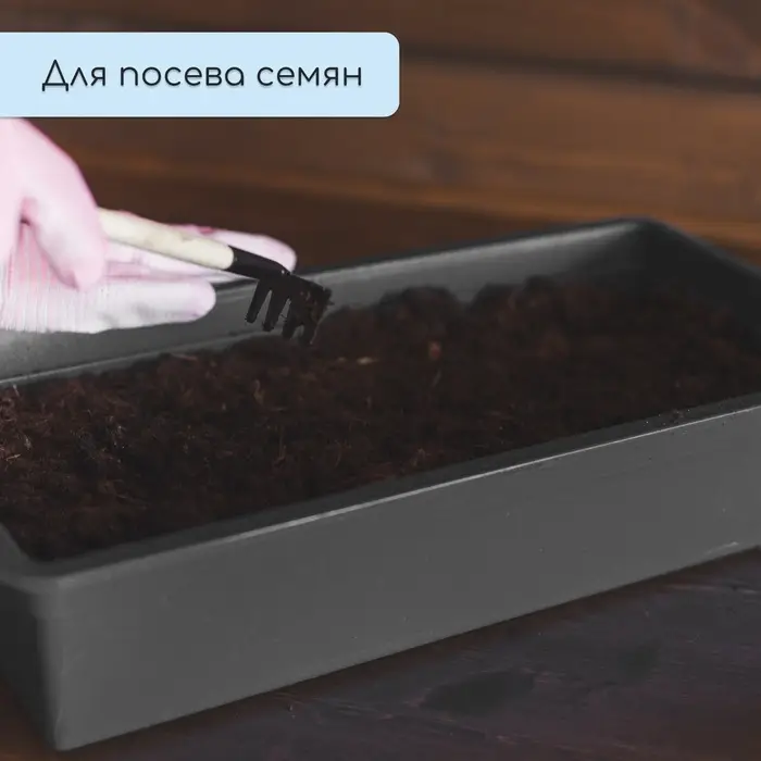 Ящик для рассады, 36 × 14 × 9 см, 3 л, пластик, чёрный Ящик для рассады, 36 × 14 × 9 см, 3 л, пластик, чёрный