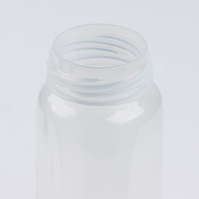 Бутылка для воды «Вид 4», 450 мл