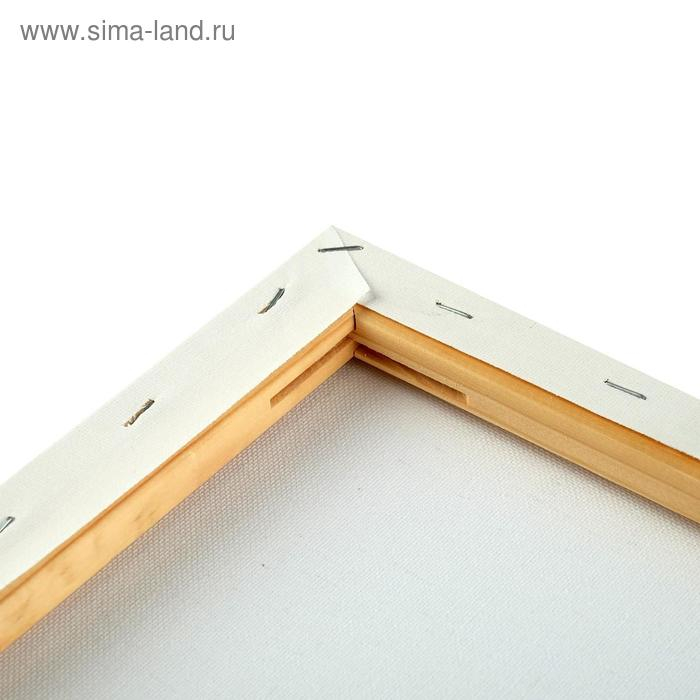 Холст на подрамнике, хлопок 100%, 50 х 60 х 1.8 см, акриловый грунт, мелкозернистый, 280 г/м² Холст на подрамнике, хлопок 100%, 50 х 60 х 1.8 см, акриловый грунт, мелкозернистый, 280 г/м²