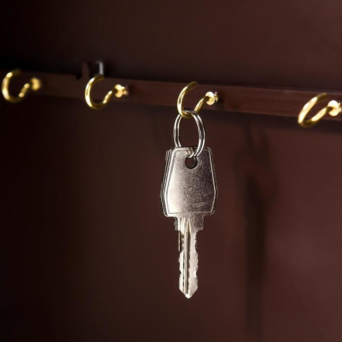 Ключница Ключница "Золотистый мост" Венге 26х31х4,5 см