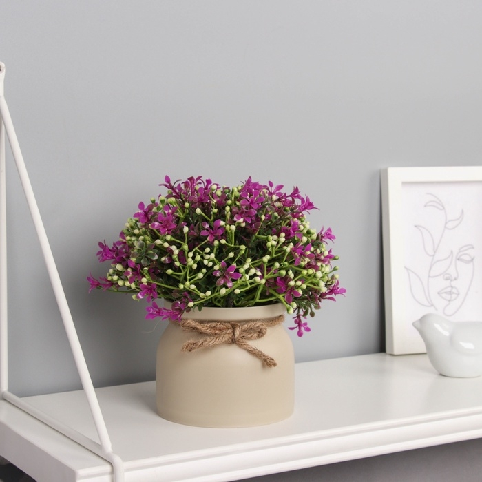 Бонсай в горшке Бонсай в горшке "Бувардия галант" 17х10 см, микс