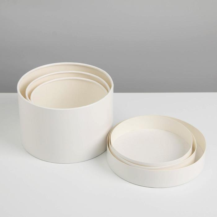 Набор шляпных коробок 3 в 1 белый, упаковка подарочная, 16 х 10, 14 х 9, 13 х 8,5 см Набор шляпных коробок 3 в 1 белый, упаковка подарочная, 16 х 10, 14 х 9, 13 х 8,5 см