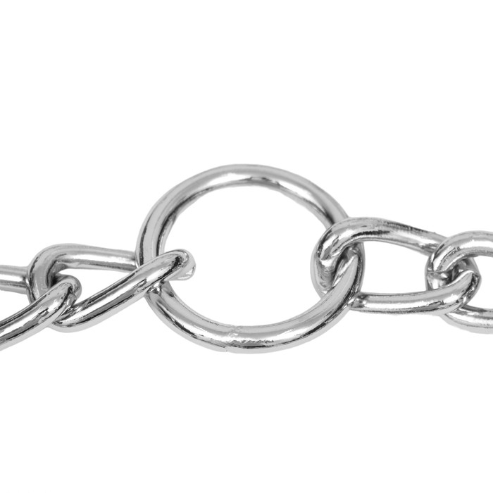 Ошейник - полуудавка строгий с защитными колпачками, 4 мм х 60 см Ошейник - полуудавка строгий с защитными колпачками, 4 мм х 60 см