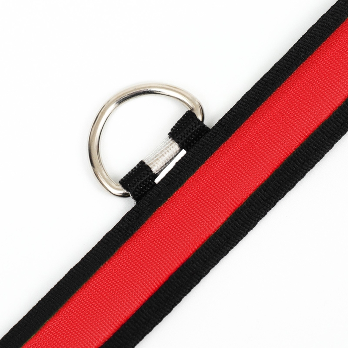 Ошейник с подсветкой Flash 3 режима свечения, размер М, ОШ 40-48 х 2,5 см, красный Ошейник с подсветкой Flash 3 режима свечения, размер М, ОШ 40-48 х 2,5 см, красный