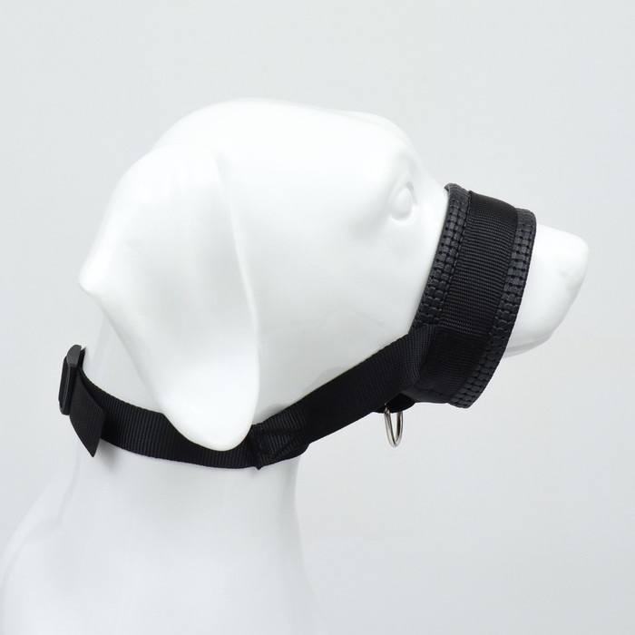 Недоуздок-намордник для собак с мягким подкладом, размер L, черный Недоуздок-намордник для собак с мягким подкладом, размер L, черный