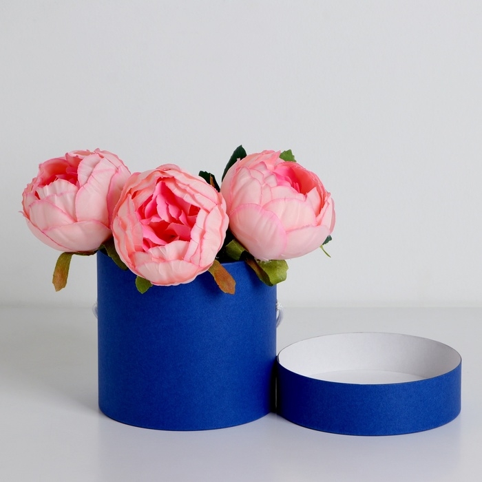 Подарочная коробка, круглая, синяя,с шнурком, 12 х 12 см Подарочная коробка, круглая, синяя,с шнурком, 12 х 12 см