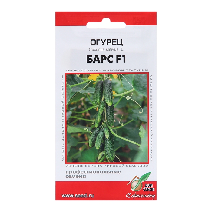 Семена Огурец Семена Огурец "Барс F1", 6 шт