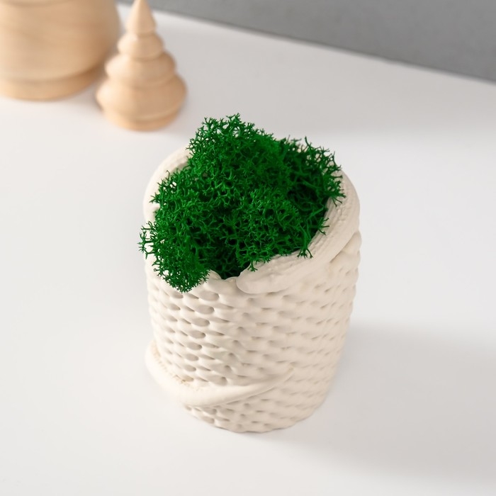 Кашпо бетонное  Кашпо бетонное "Змея корзинка"со мхом  7х6х7 см белая (мох зелен стабил)